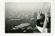 Plavba na sever 1928 (8).jpg